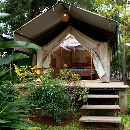 Bluemonkey Guesthouse Энтеббе Экстерьер фото