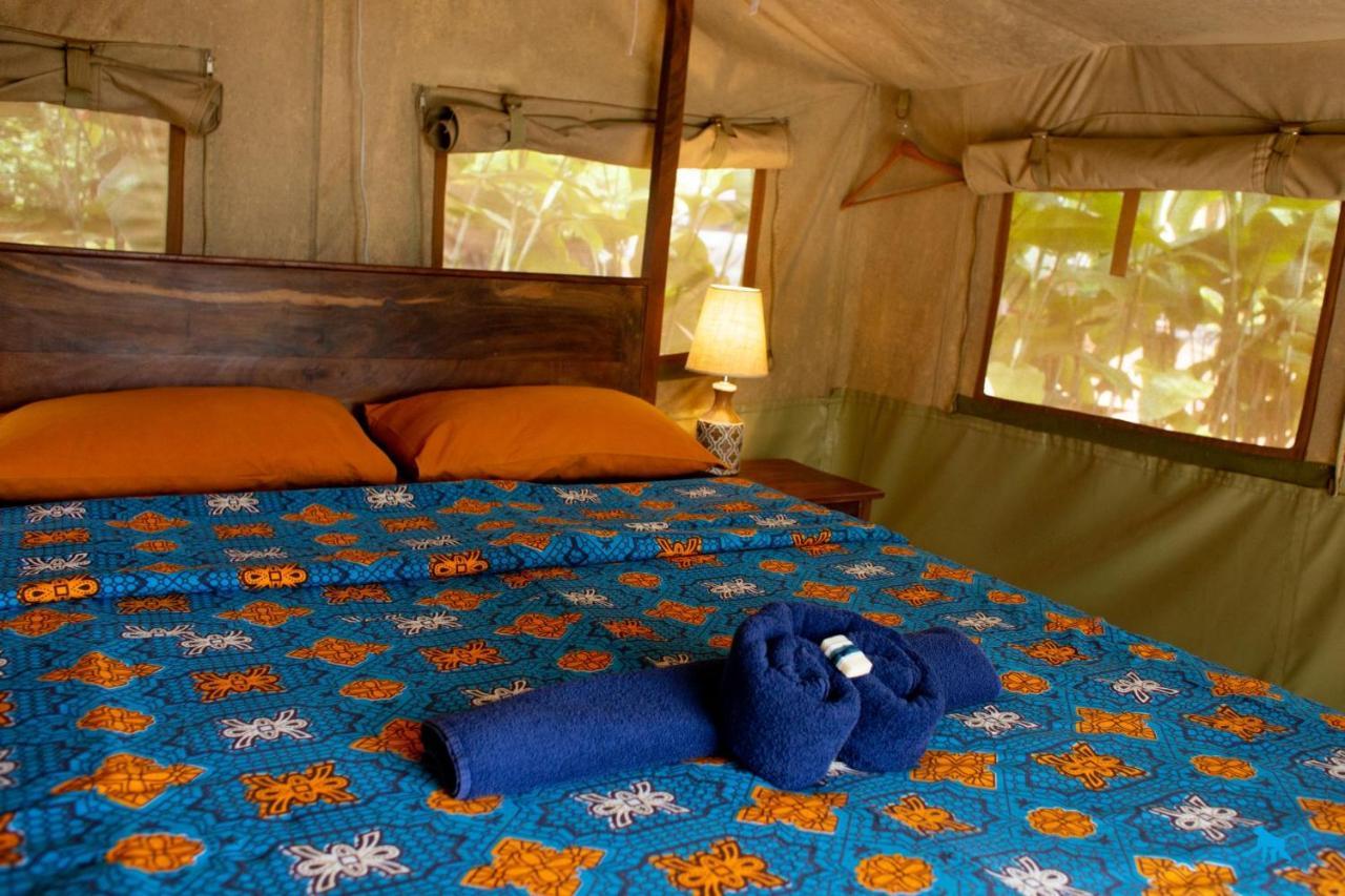 Bluemonkey Guesthouse Энтеббе Экстерьер фото
