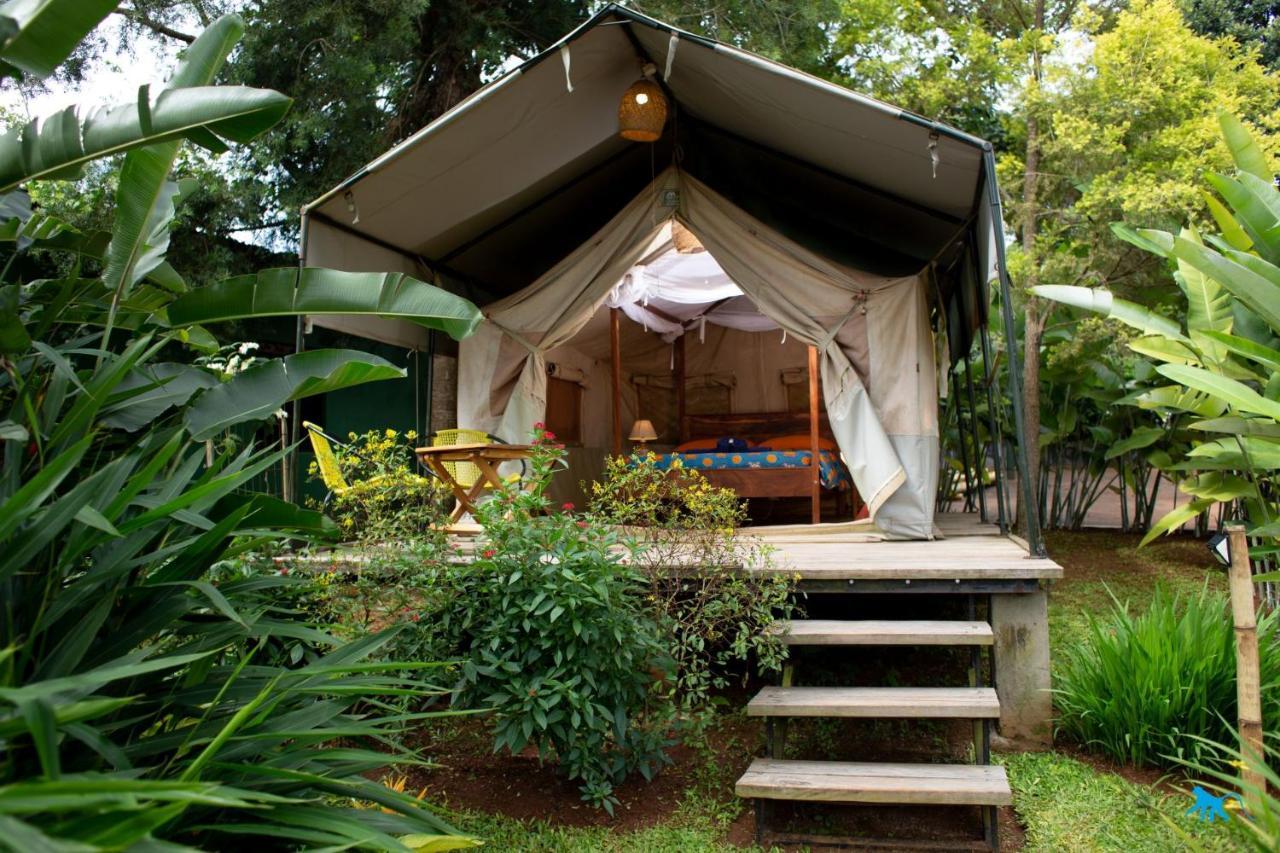 Bluemonkey Guesthouse Энтеббе Экстерьер фото