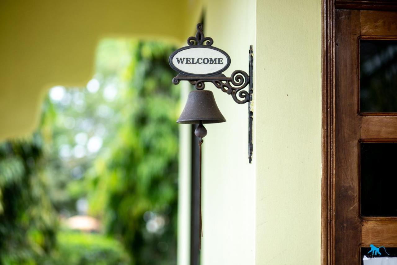 Bluemonkey Guesthouse Энтеббе Экстерьер фото