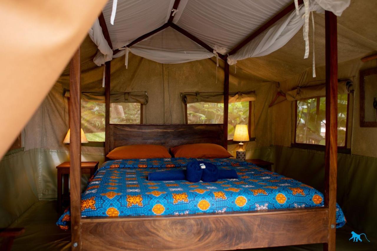 Bluemonkey Guesthouse Энтеббе Экстерьер фото
