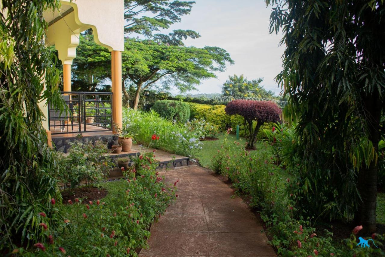 Bluemonkey Guesthouse Энтеббе Экстерьер фото